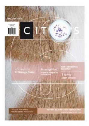 revista-citos-10.jpg