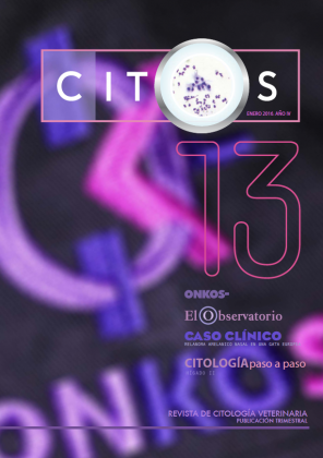 PORTADA-CITOS-N13.png
