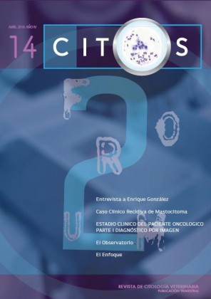 portada-14.jpg