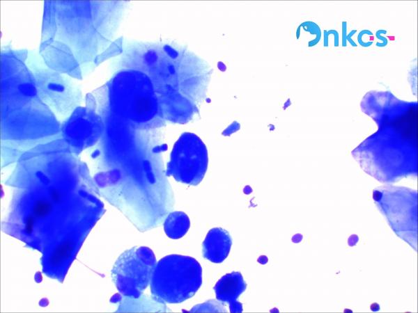nano1.jpg nano1.jpg